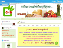 Tablet Screenshot of g4hbiz.com